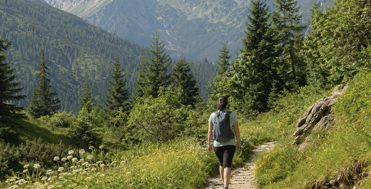 Top 10 Tatra Trails for Beginners